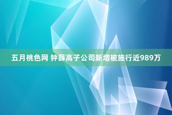 五月桃色网 钟薛高子公司新增被施行近989万