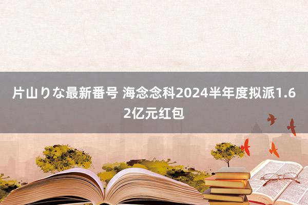 片山りな最新番号 海念念科2024半年度拟派1.62亿元红包
