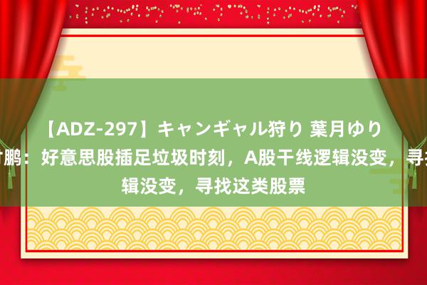 【ADZ-297】キャンギャル狩り 葉月ゆり 经济学家付鹏：好意思股插足垃圾时刻，A股干线逻辑没变，寻找这类股票