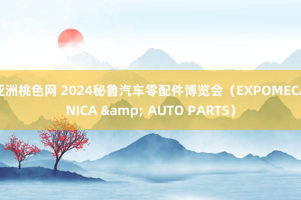 亚洲桃色网 2024秘鲁汽车零配件博览会（EXPOMECÁNICA & AUTO PARTS）