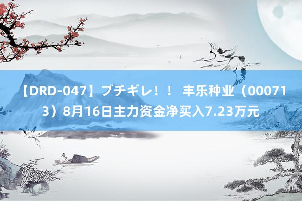 【DRD-047】ブチギレ！！ 丰乐种业（000713）8月16日主力资金净买入7.23万元