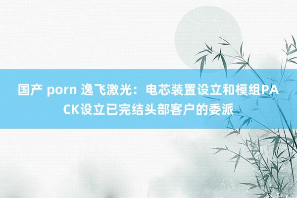 国产 porn 逸飞激光：电芯装置设立和模组PACK设立已完结头部客户的委派