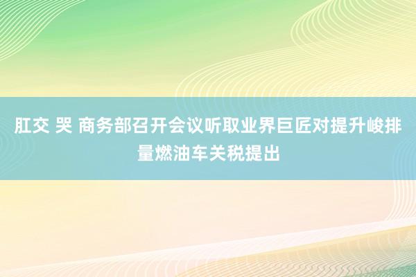 肛交 哭 商务部召开会议听取业界巨匠对提升峻排量燃油车关税提出