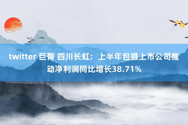 twitter 巨臀 四川长虹：上半年包摄上市公司推动净利润同比增长38.71%