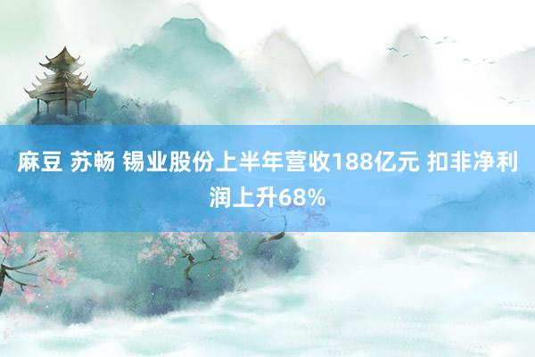 麻豆 苏畅 锡业股份上半年营收188亿元 扣非净利润上升68%
