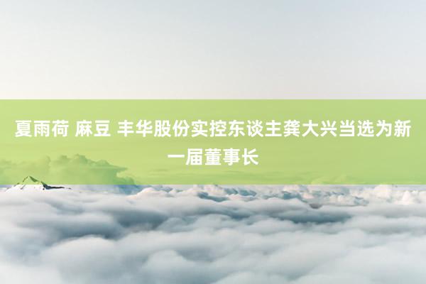 夏雨荷 麻豆 丰华股份实控东谈主龚大兴当选为新一届董事长