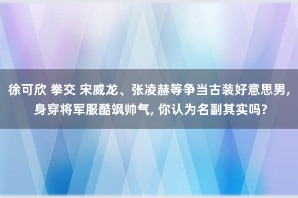 徐可欣 拳交 宋威龙、张凌赫等争当古装好意思男, 身穿将军服酷飒帅气, 你认为名副其实吗?